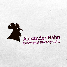 Alexander Hahn | Logo